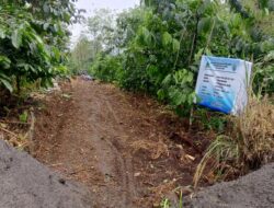 Pemdes Suban Ayam Realisasikan (DD) Tahap Pertama Buat Rabat Beton Jalan Usaha Tani
