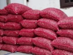 Grosir Bawang Merah & Bawang Putih-Rejang Lebong.