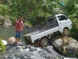 Kecelakaan Tunggal Didesa Mujorejo, Mobil Pickup Terjun Ke Jurang