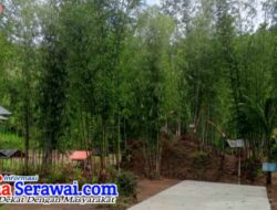 Akses Wisata Desa Air Lanang Dibangun Rabat Beton