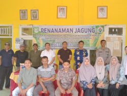 Penguatan Ketahanan Pangan, Desa Tebat Laut melalui Penanaman Jagung.