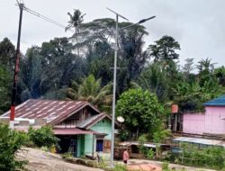 Pengadaan Lampu Jalan Berbasis Tenaga Surya 2025 & 2024 Desa Sukarami diduga Syarat Dengan Mark Up