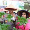 Dukung Ketahanan Pangan, Kapolda Kalteng Bersama Bhayangkari Panen Sayur di Lahan Pekarangan Pangan Lestari